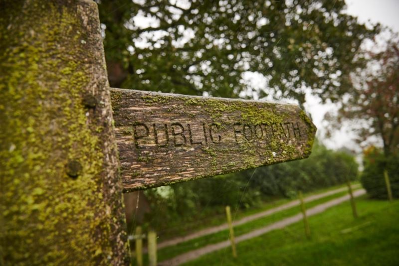 Top 10 Family Walks Near Kendal for Your Cumbrian Holiday